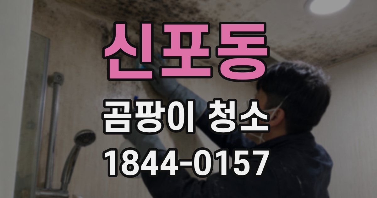 신포동 곰팡이 청소