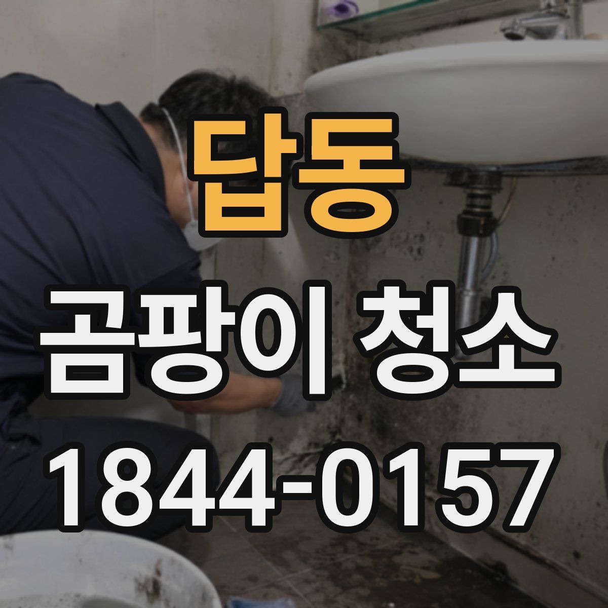 답동 곰팡이 청소