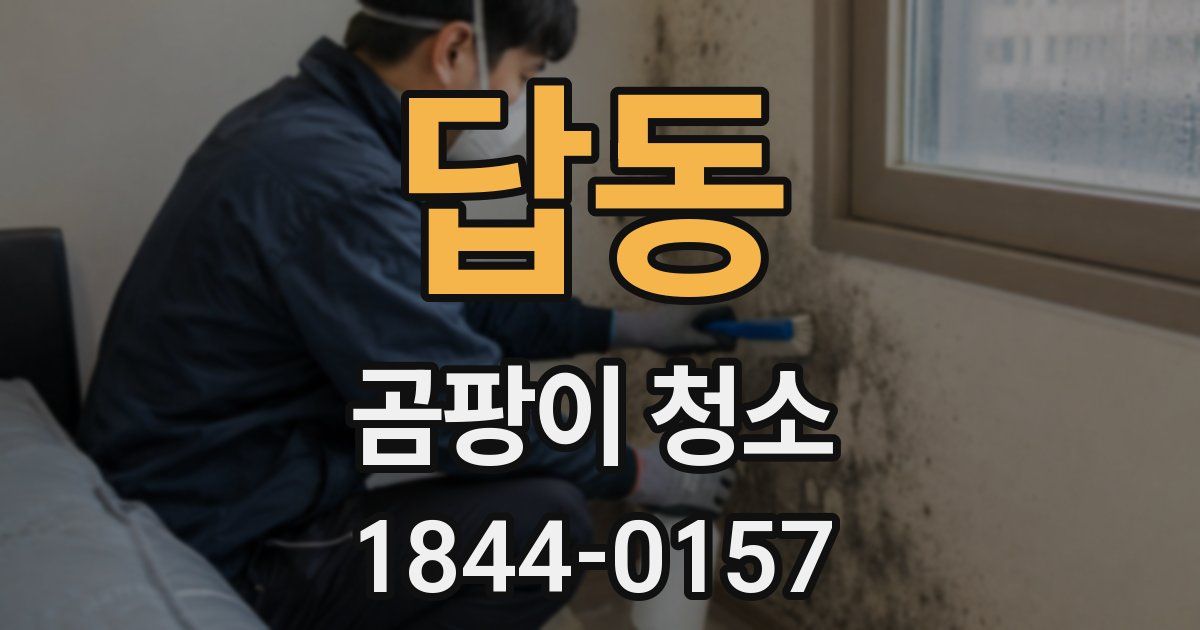 답동 곰팡이 청소