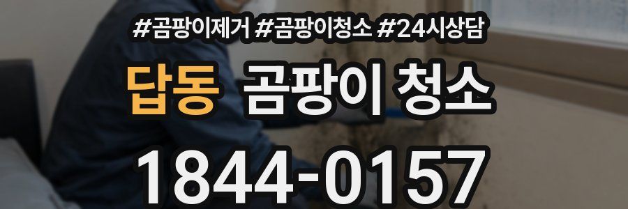 답동 곰팡이 청소