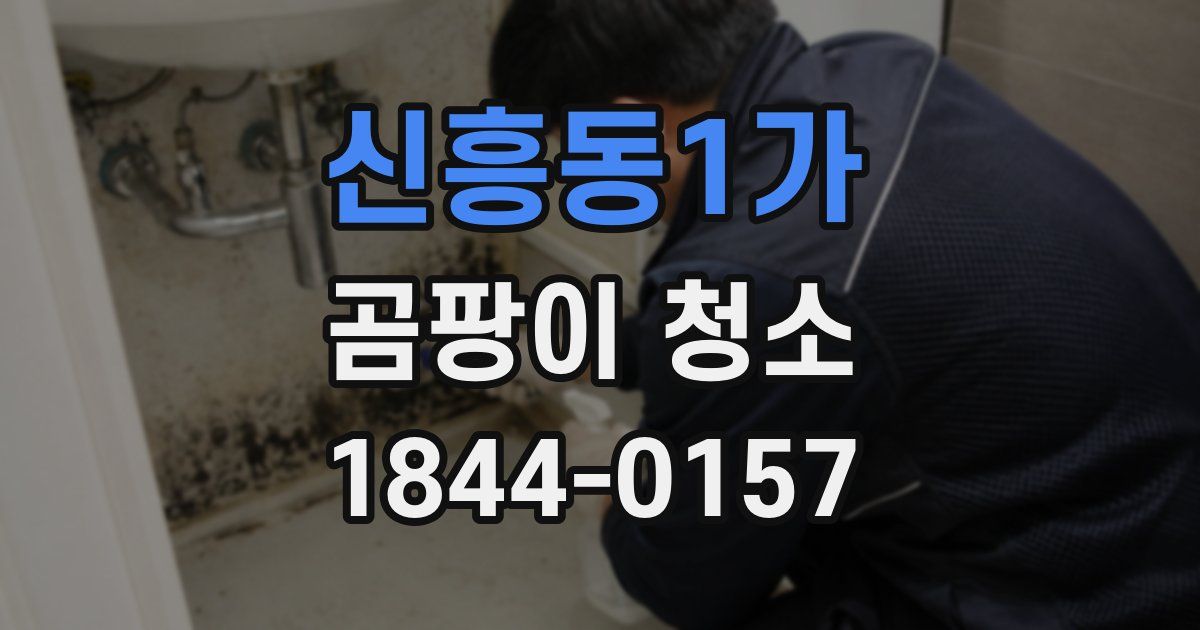신흥동1가 곰팡이 청소