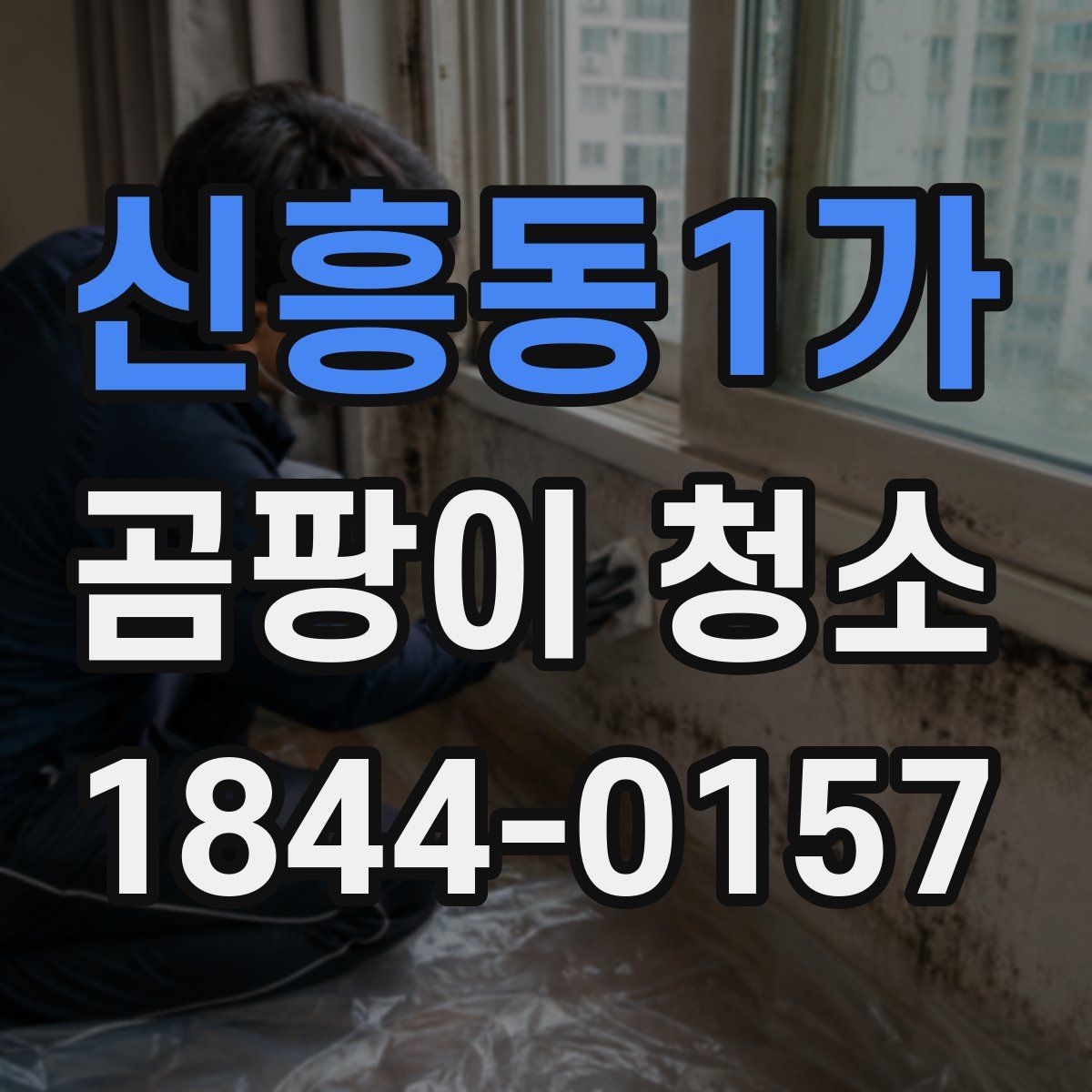 신흥동1가 곰팡이 청소