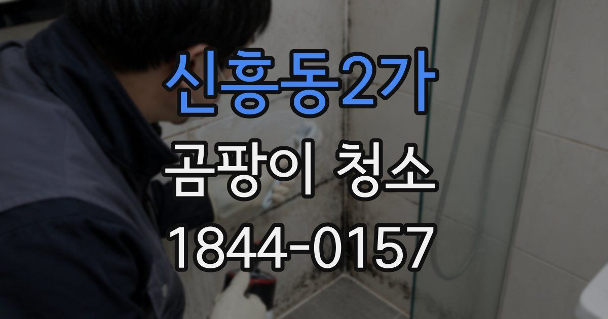 신흥동2가 곰팡이 청소
