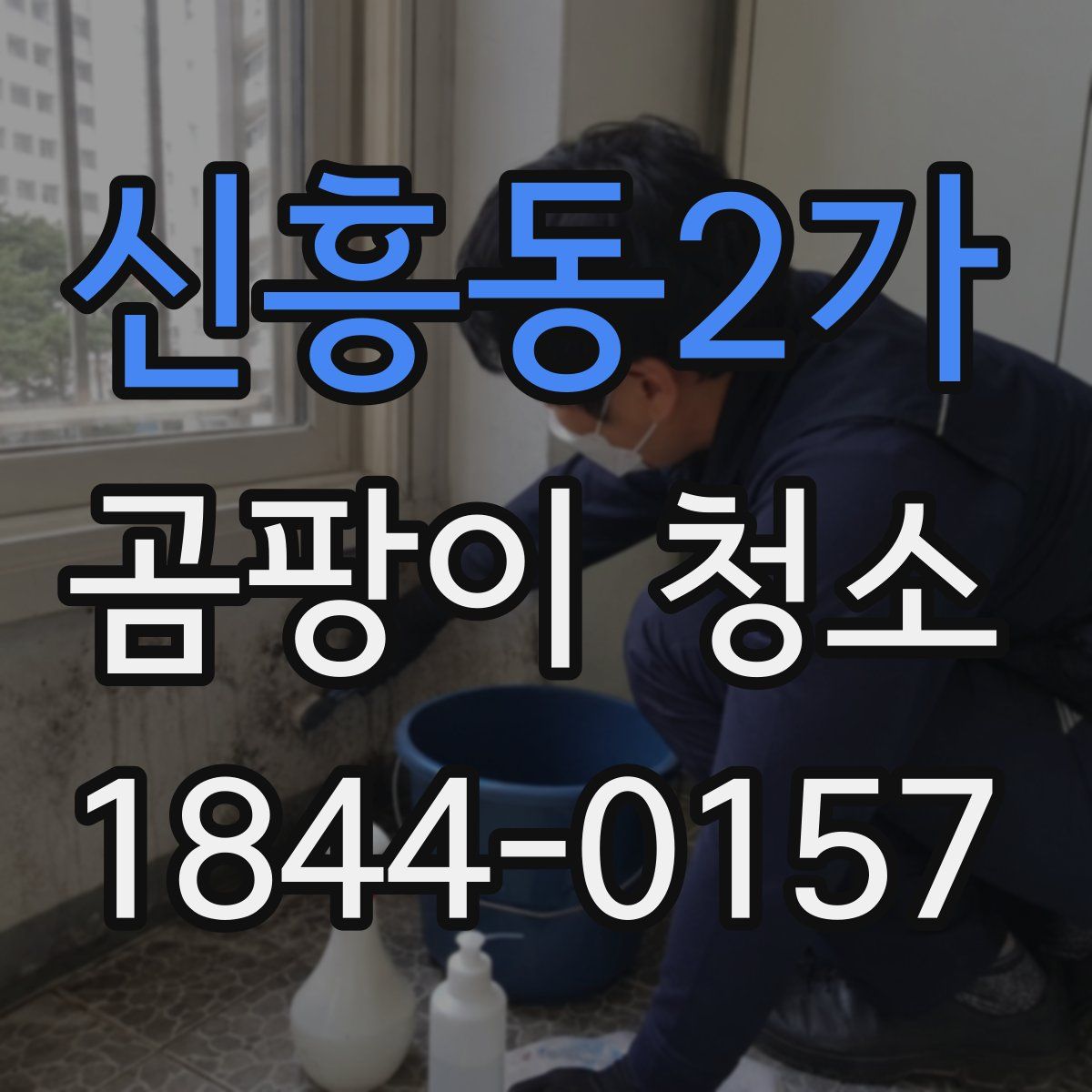 신흥동2가 곰팡이 청소