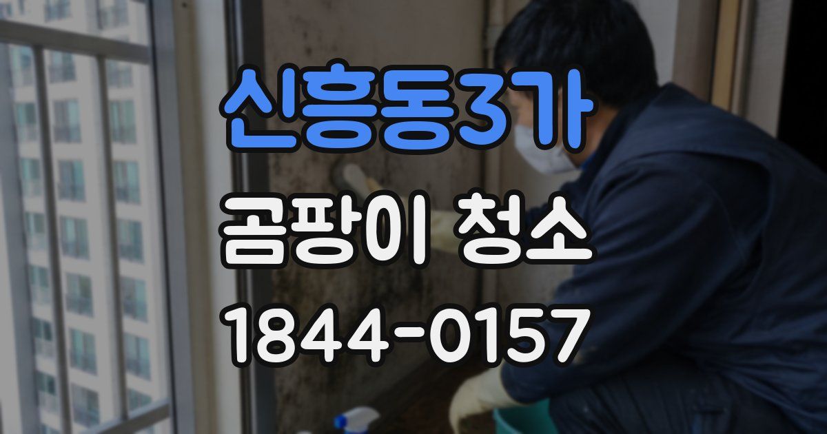 신흥동3가 곰팡이 청소