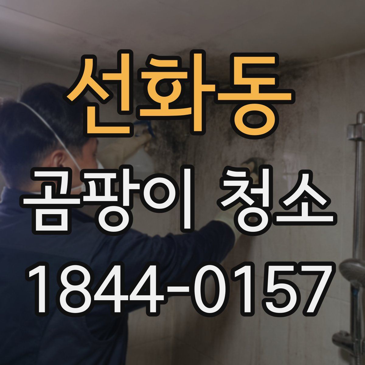 선화동 곰팡이 청소
