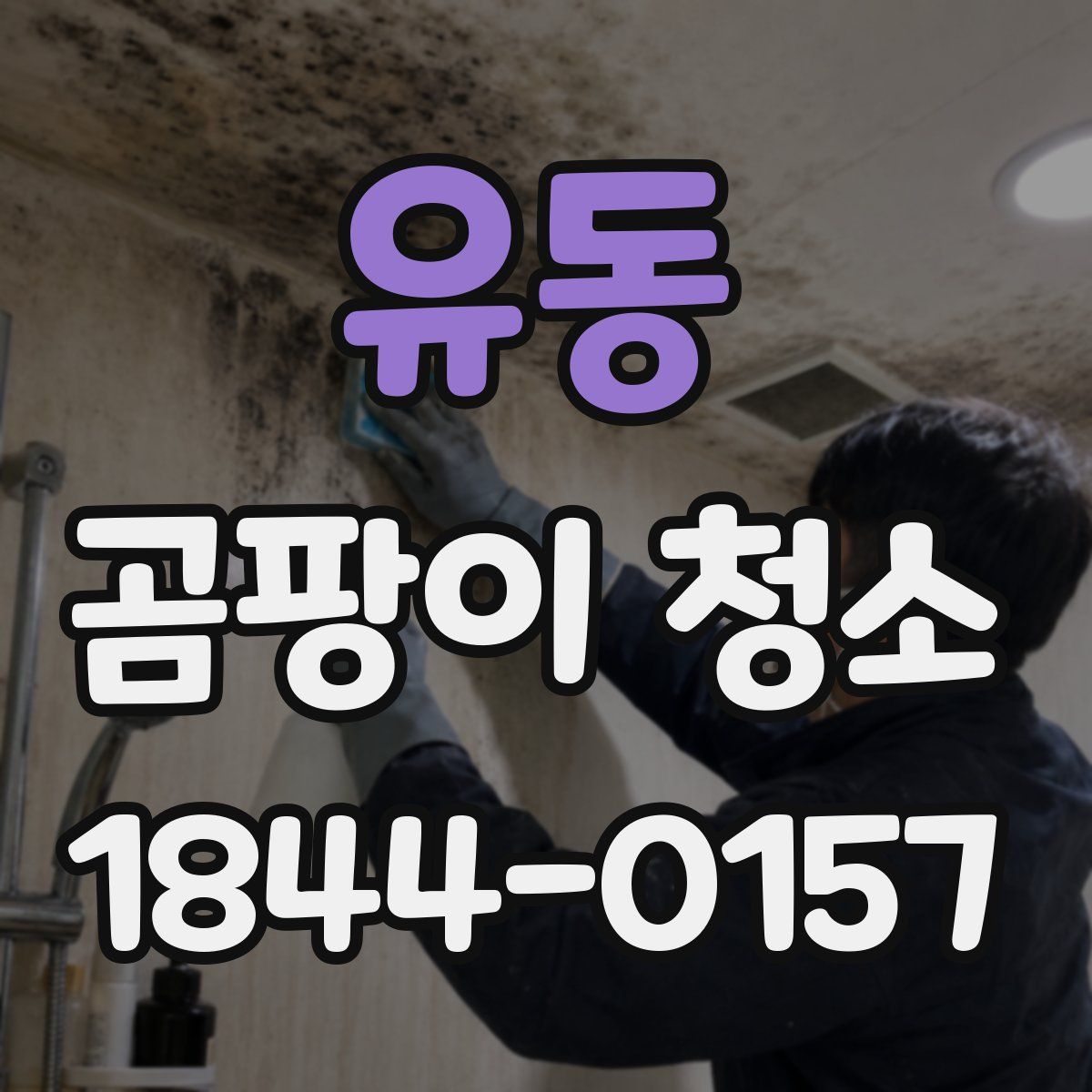 유동 곰팡이 청소
