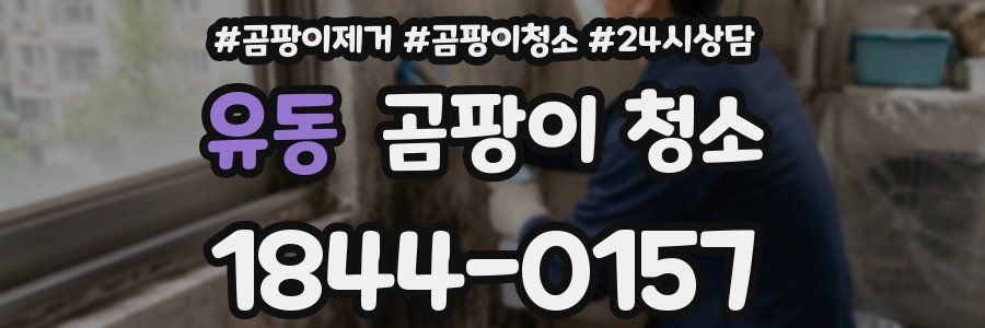 유동 곰팡이 청소