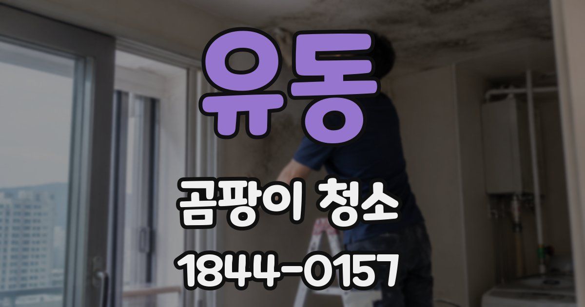 유동 곰팡이 청소