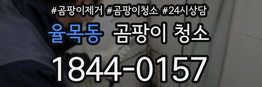 율목동 곰팡이 청소