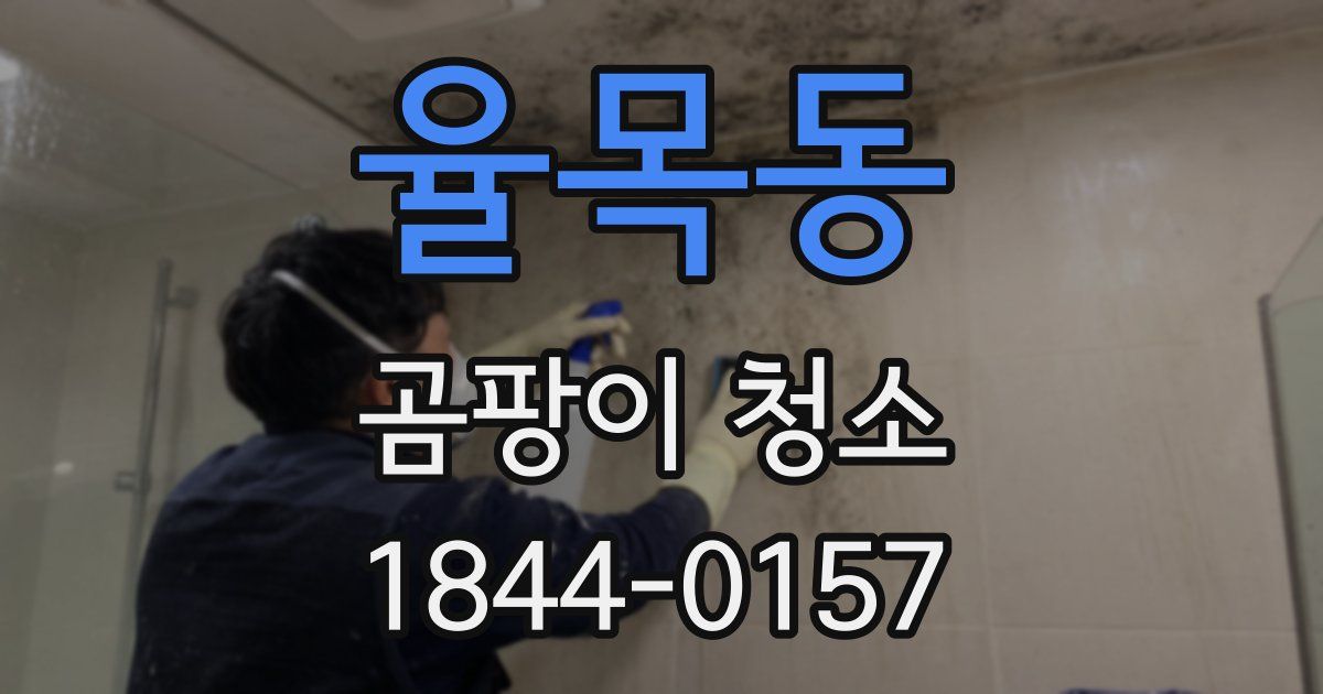 율목동 곰팡이 청소