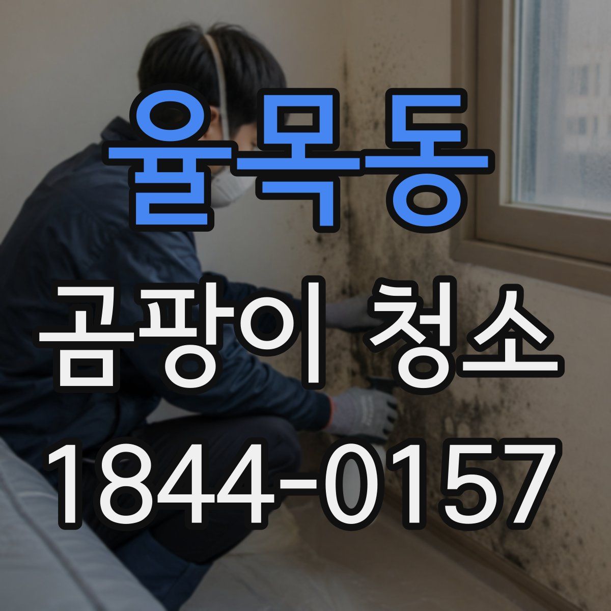 율목동 곰팡이 청소
