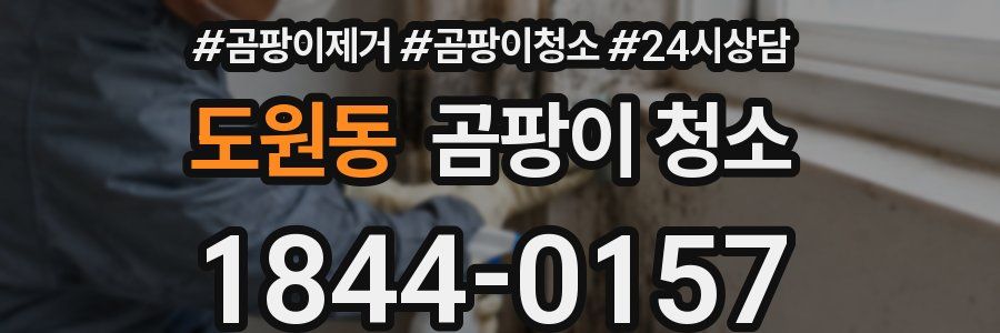 도원동 곰팡이 청소