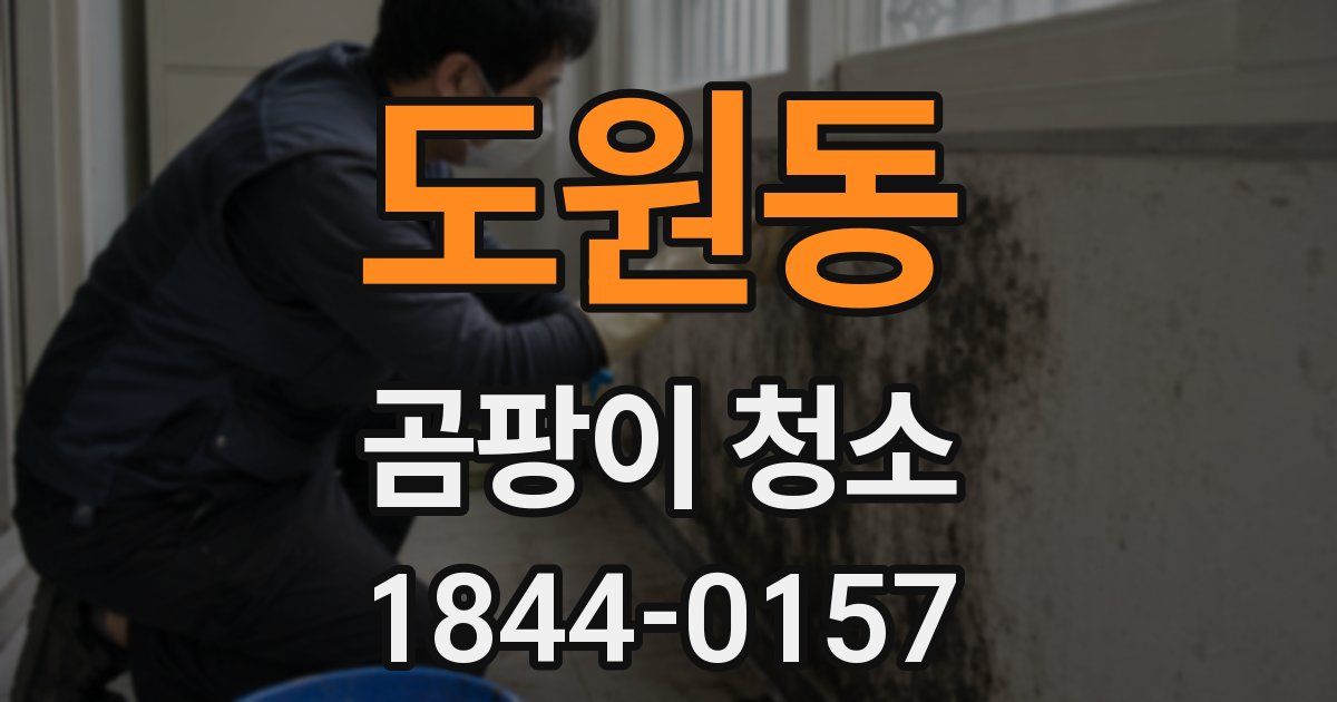 도원동 곰팡이 청소