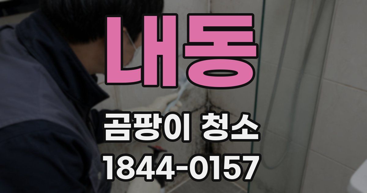 내동 곰팡이 청소