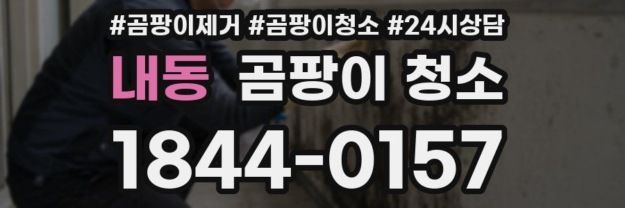 내동 곰팡이 청소