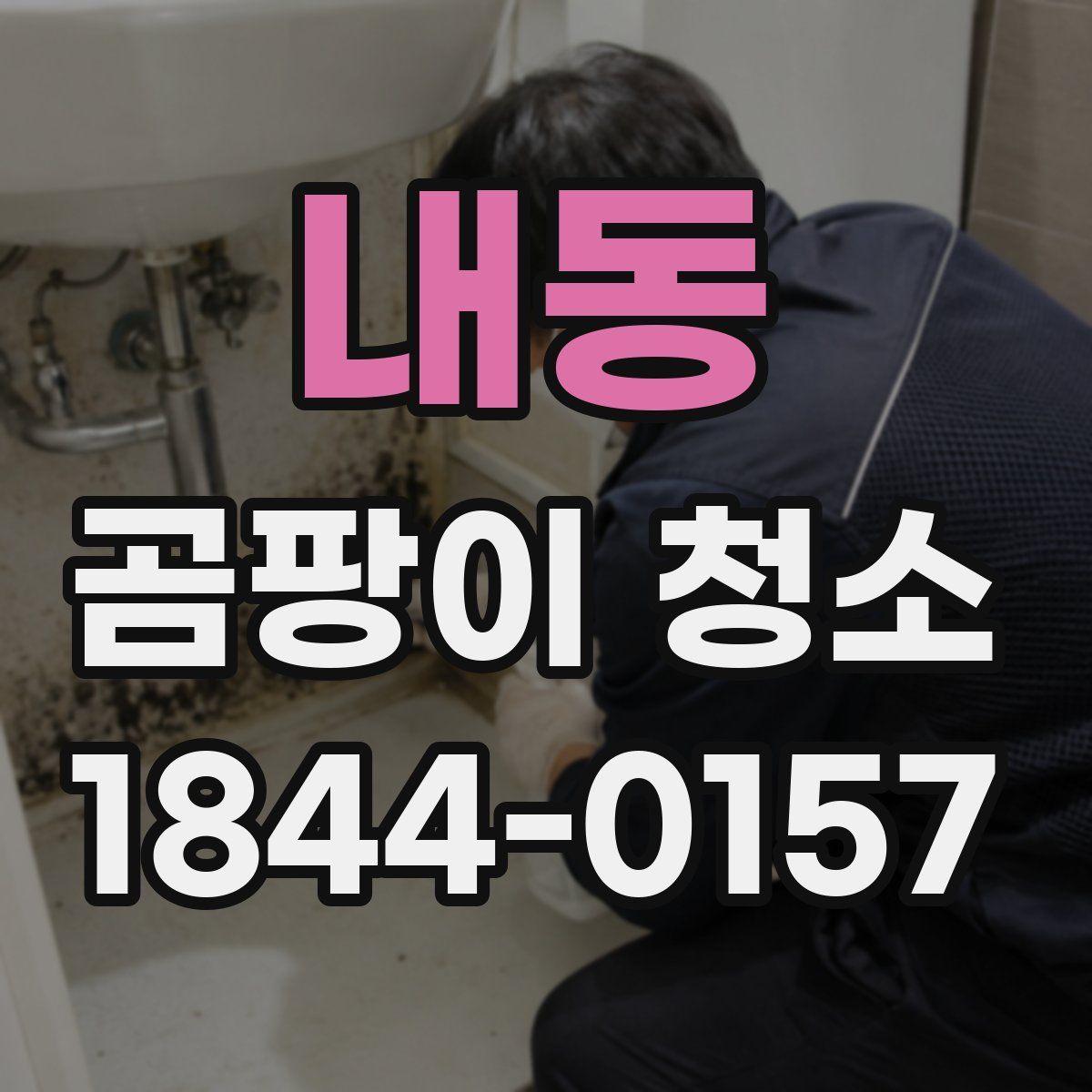내동 곰팡이 청소