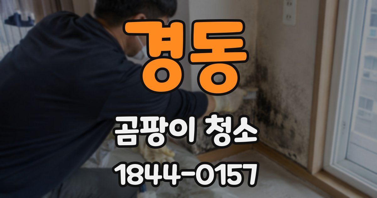 경동 곰팡이 청소