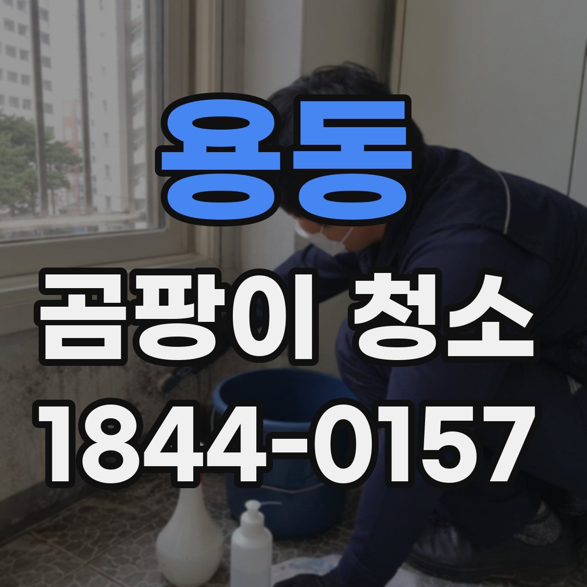용동 곰팡이 청소