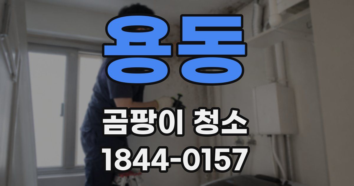 용동 곰팡이 청소