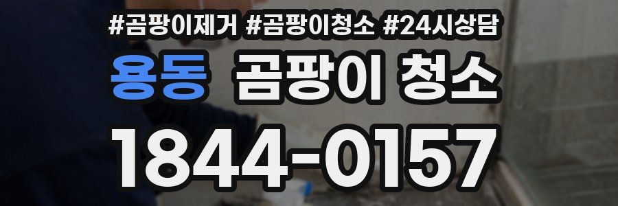용동 곰팡이 청소