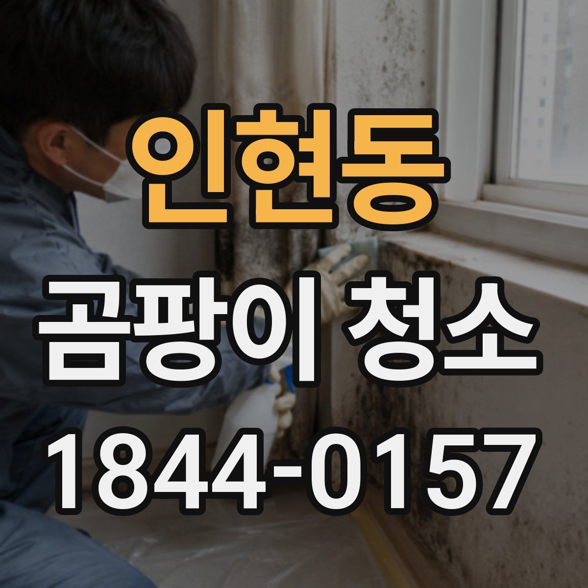 인현동 곰팡이 청소