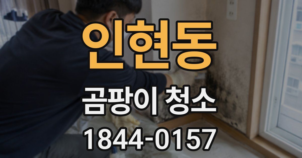 인현동 곰팡이 청소