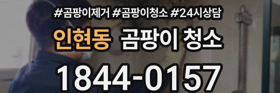 인현동 곰팡이 청소