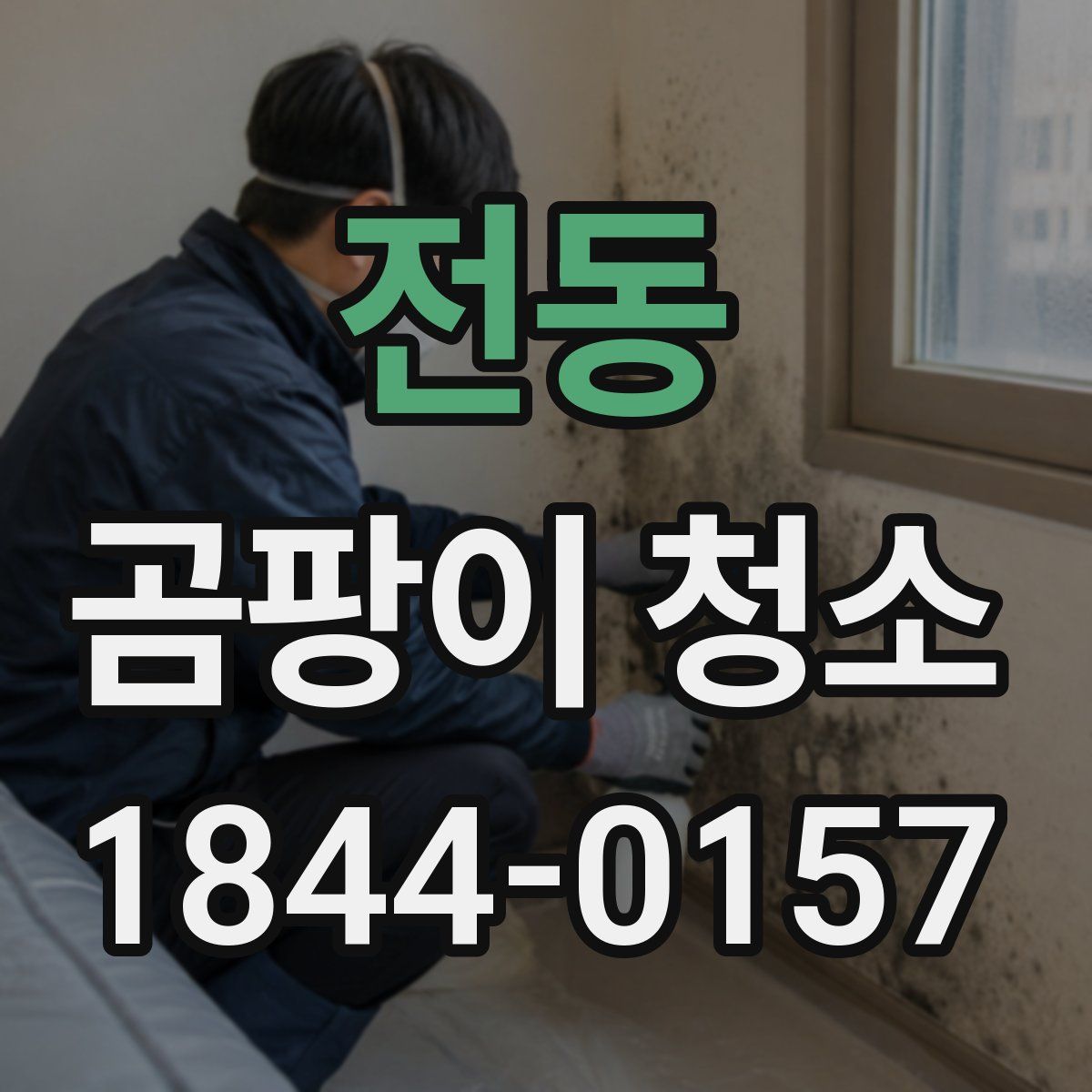 전동 곰팡이 청소