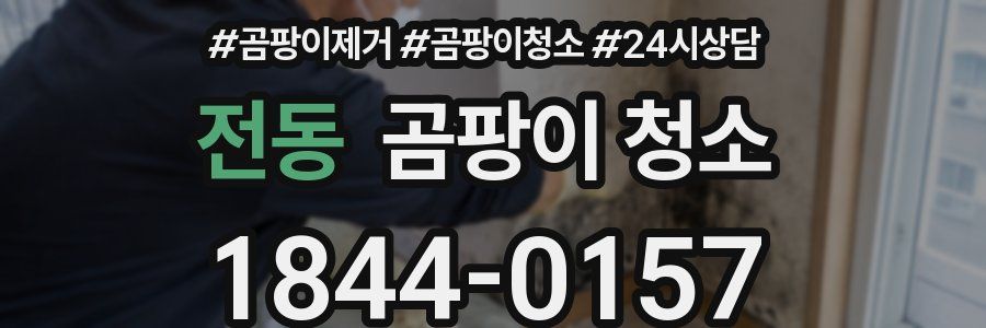 전동 곰팡이 청소