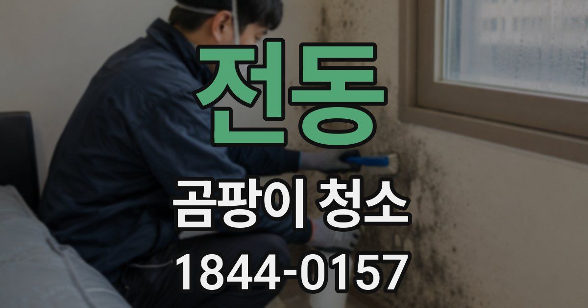 전동 곰팡이 청소