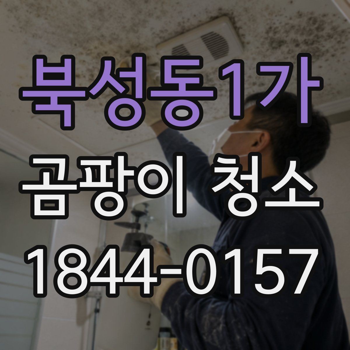 북성동1가 곰팡이 청소 오래된 자국을 표면별로 나눠 보는 팁