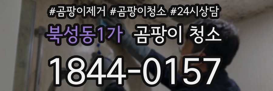 북성동1가 곰팡이 청소
