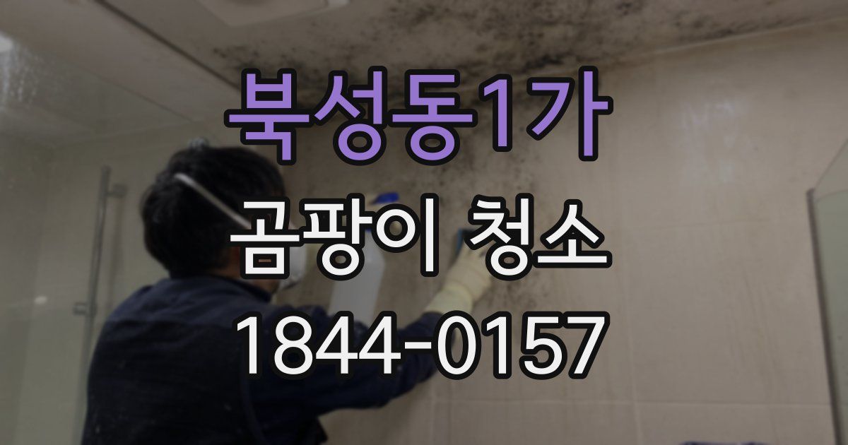 북성동1가 곰팡이 청소