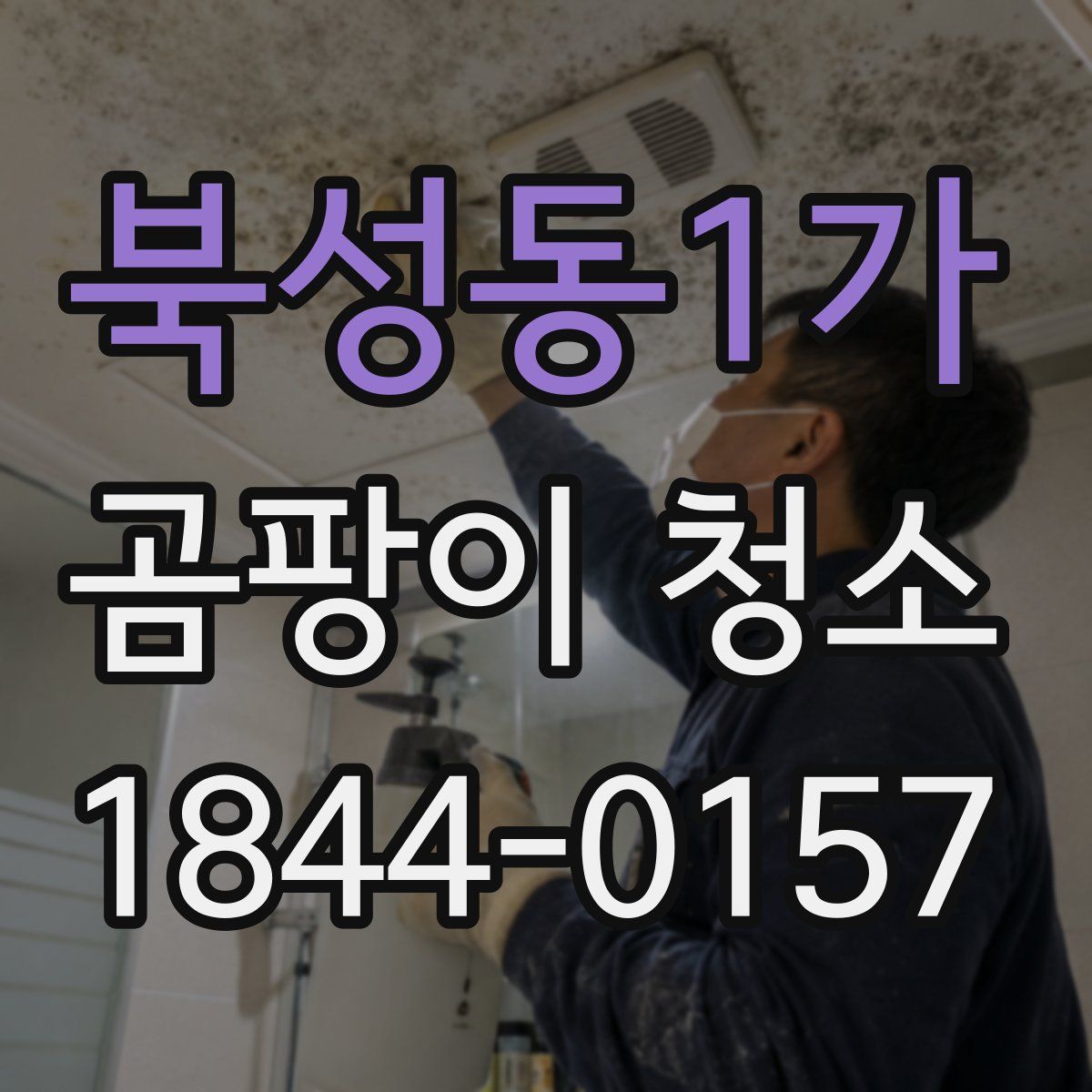 북성동1가 곰팡이 청소