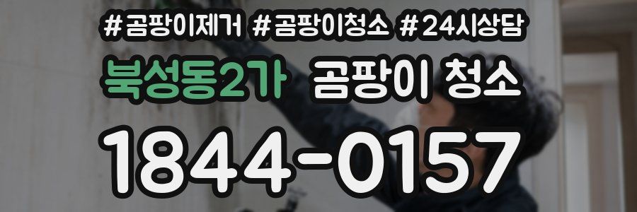 북성동2가 곰팡이 청소