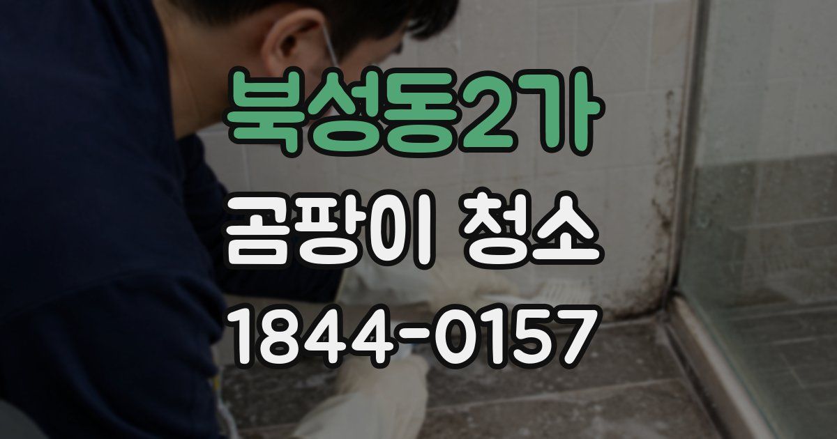 북성동2가 곰팡이 청소