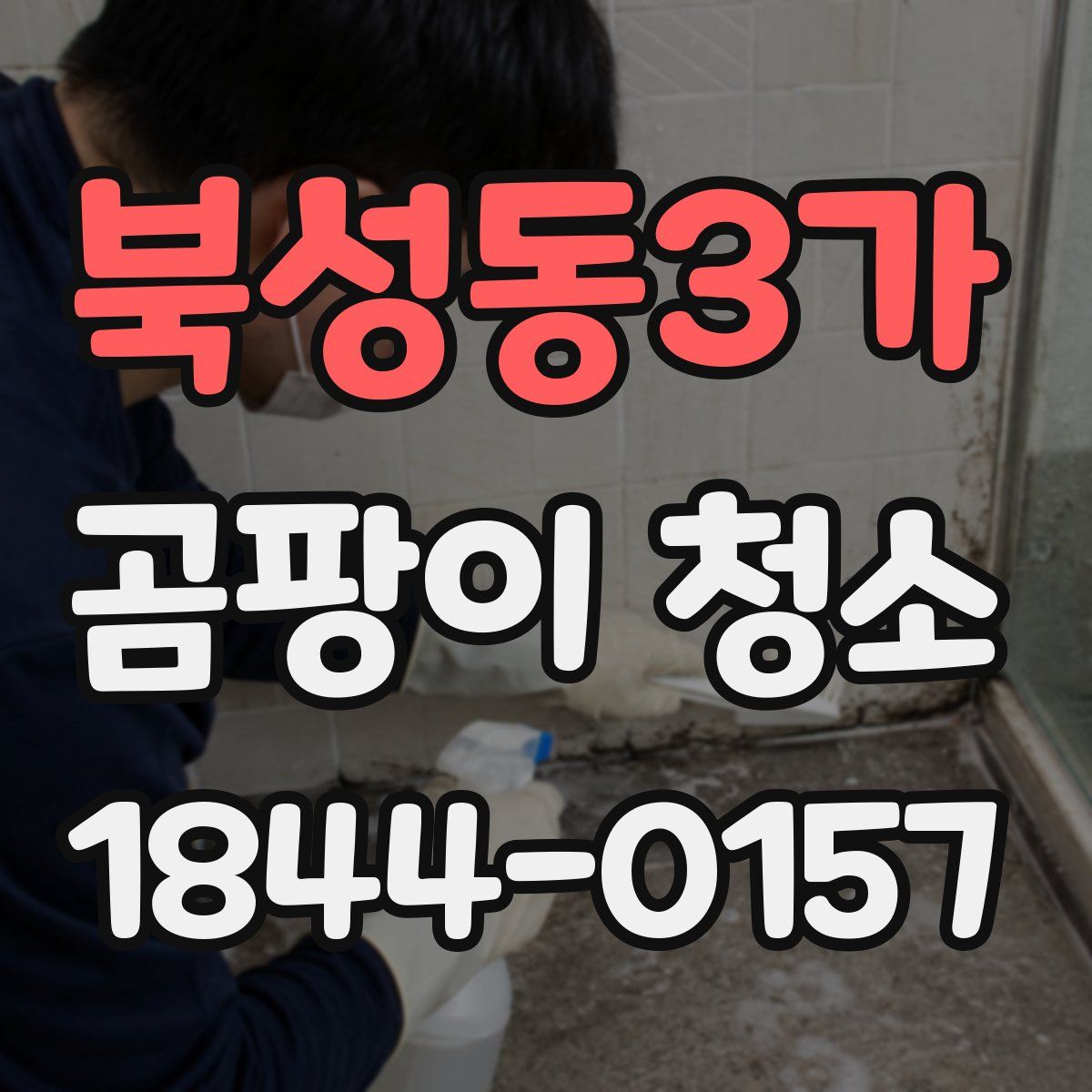 북성동3가 곰팡이 청소