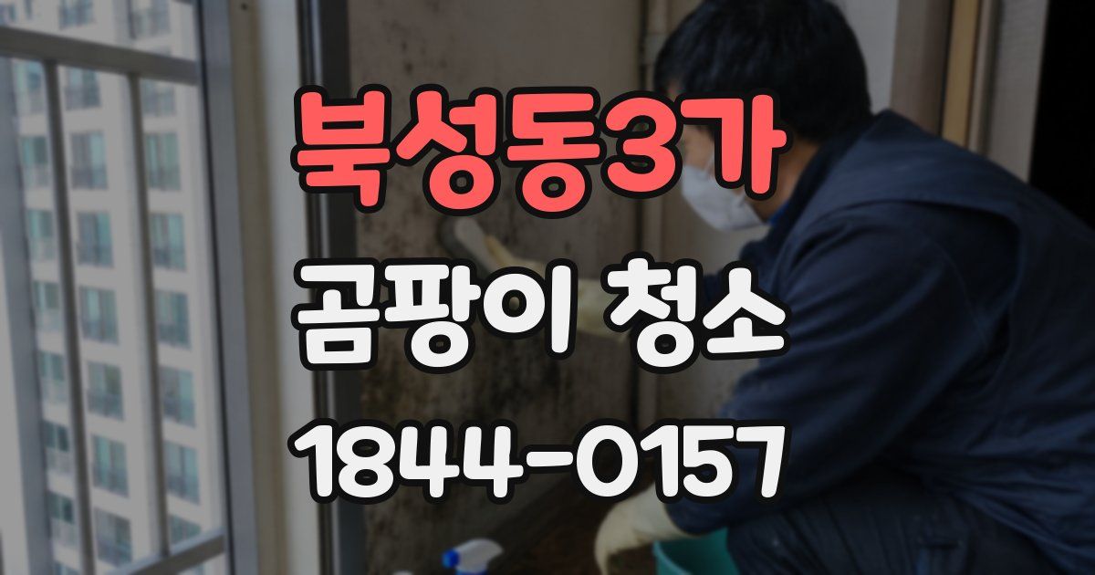 북성동3가 곰팡이 청소