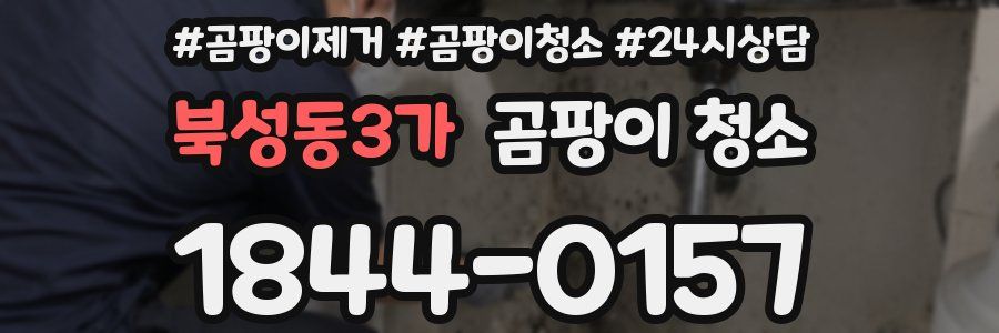 북성동3가 곰팡이 청소