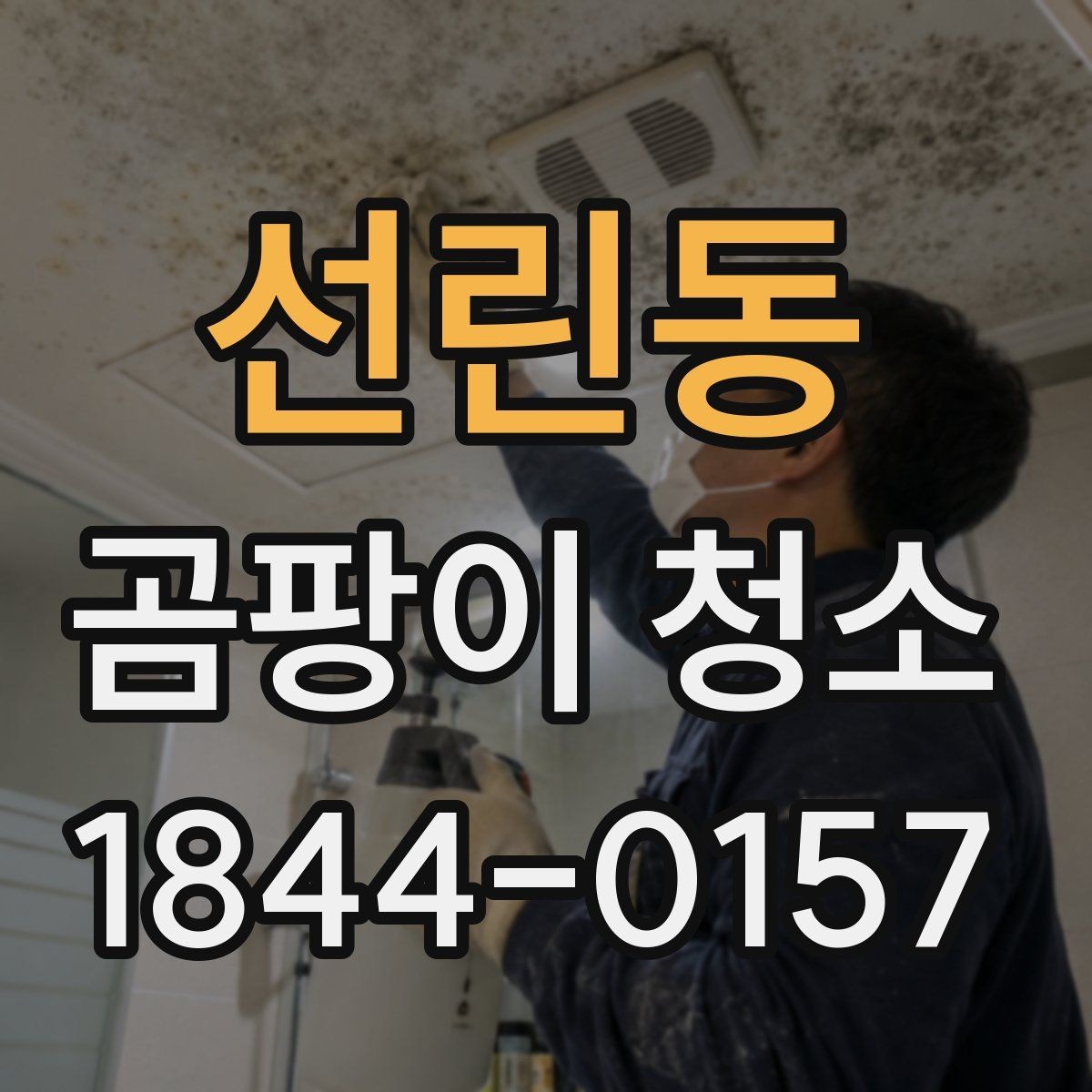 선린동 곰팡이 청소 습도 관리로 재발을 줄이는 방법