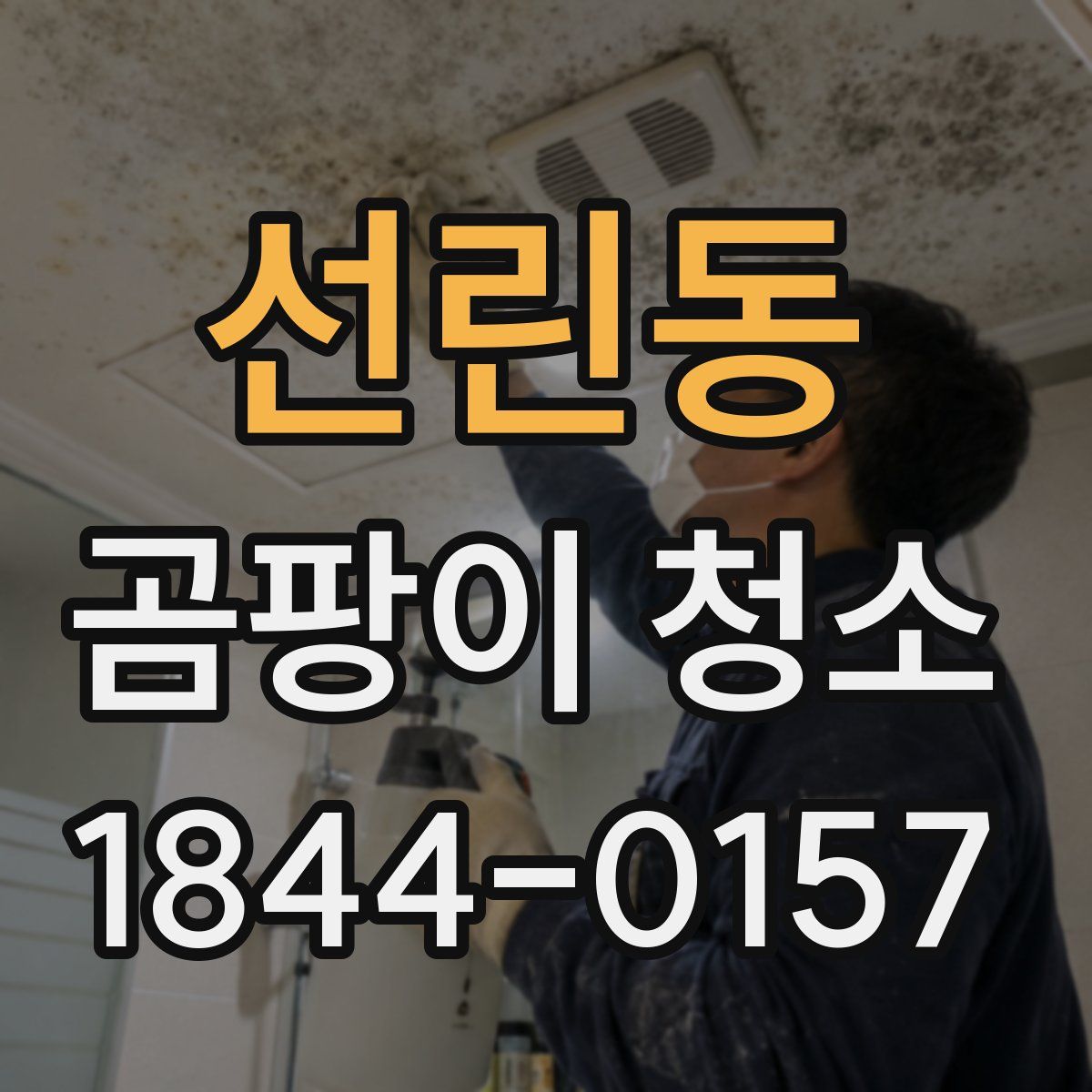 선린동 곰팡이 청소