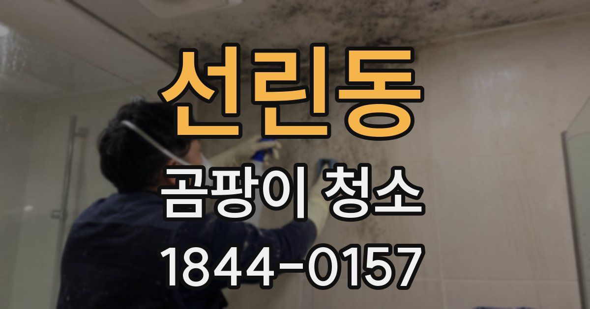 선린동 곰팡이 청소