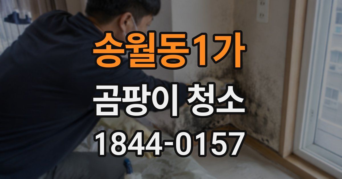 송월동1가 곰팡이 청소