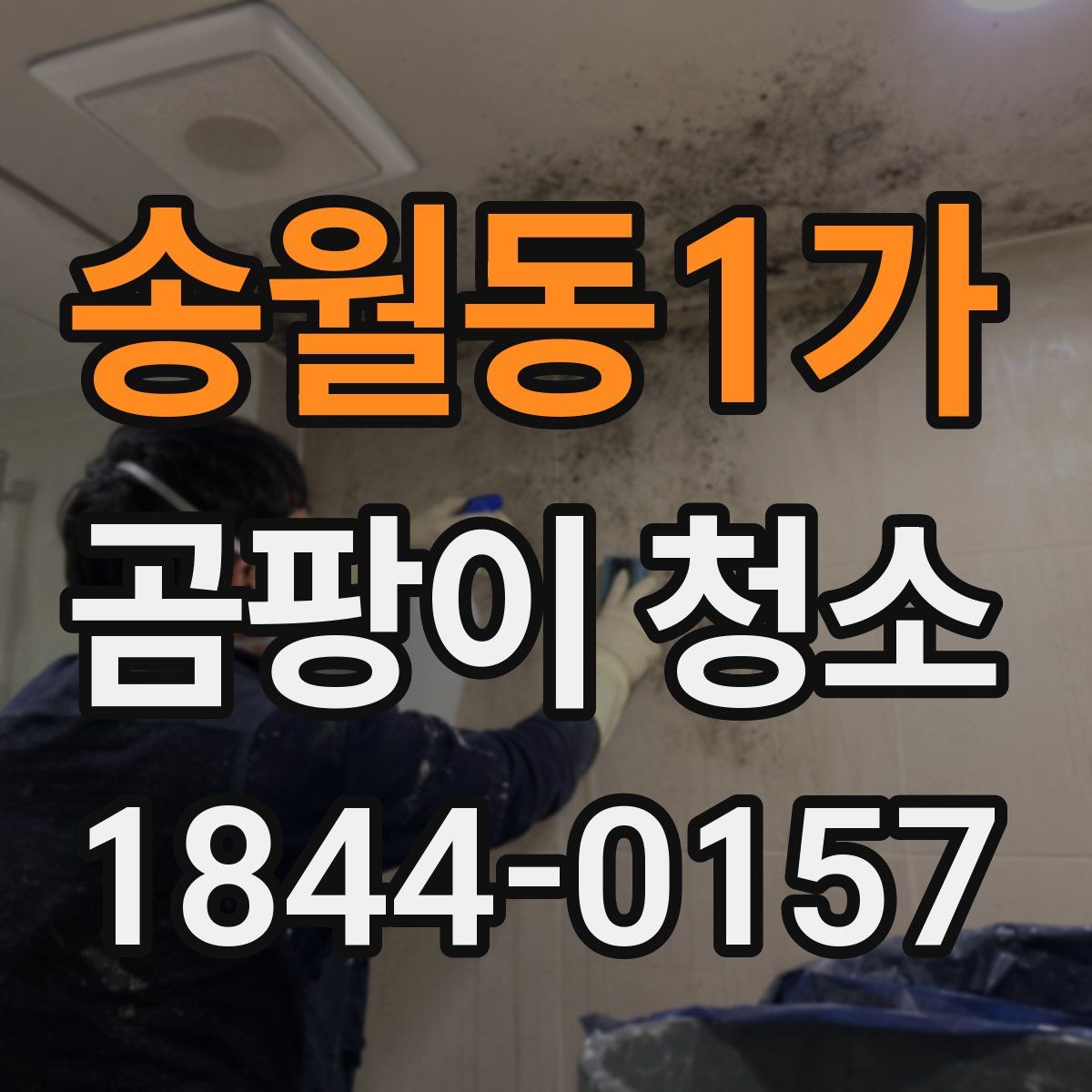 송월동1가 곰팡이 청소