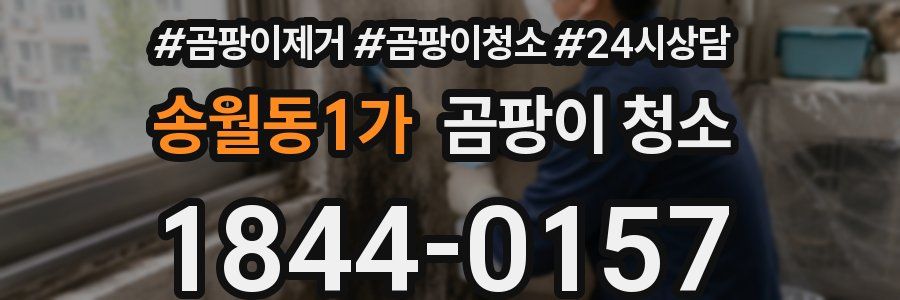 송월동1가 곰팡이 청소
