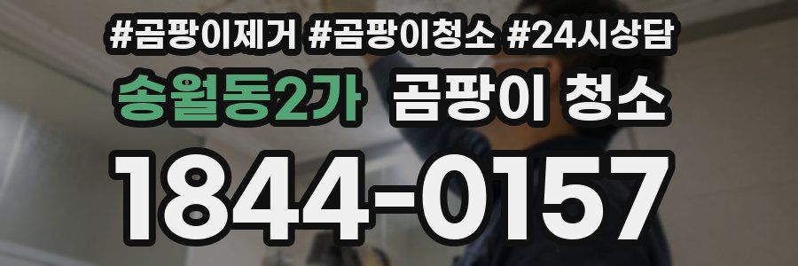 송월동2가 곰팡이 청소