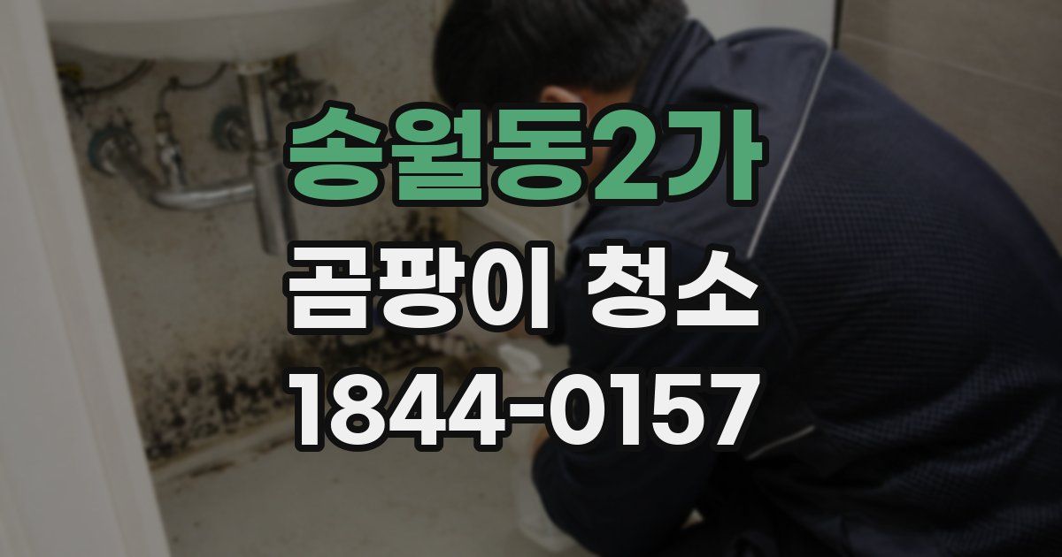 송월동2가 곰팡이 청소