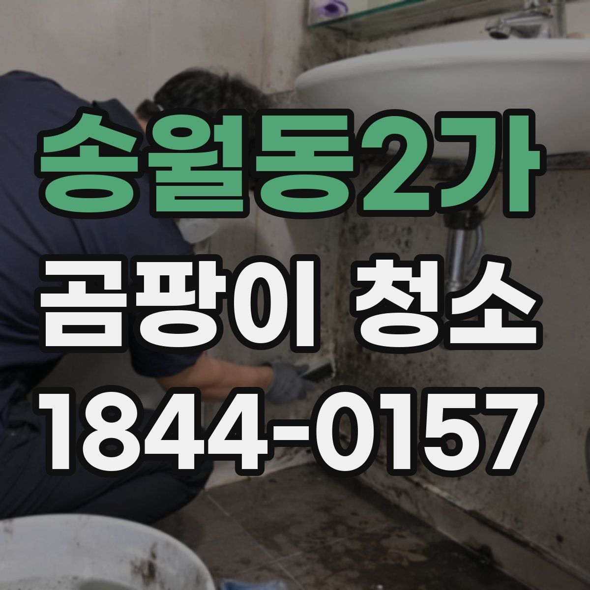 송월동2가 곰팡이 청소
