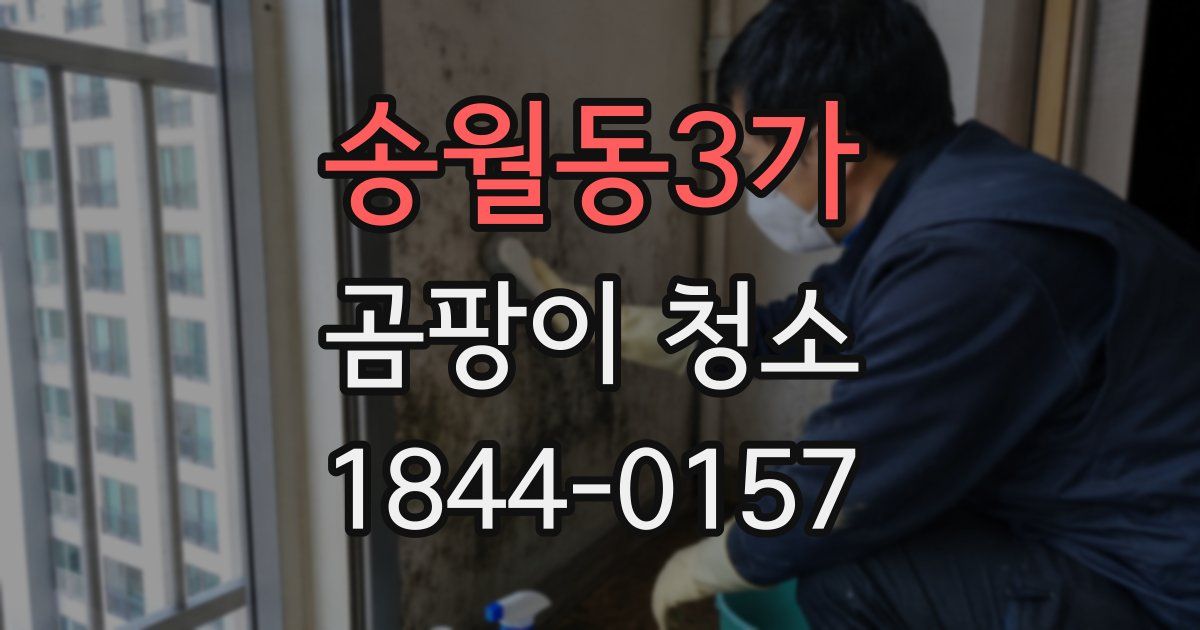 송월동3가 곰팡이 청소